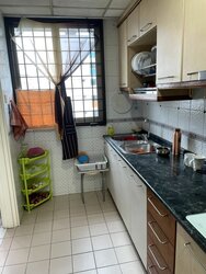 Orchid Park Condominium (D27), Condominium #456329311